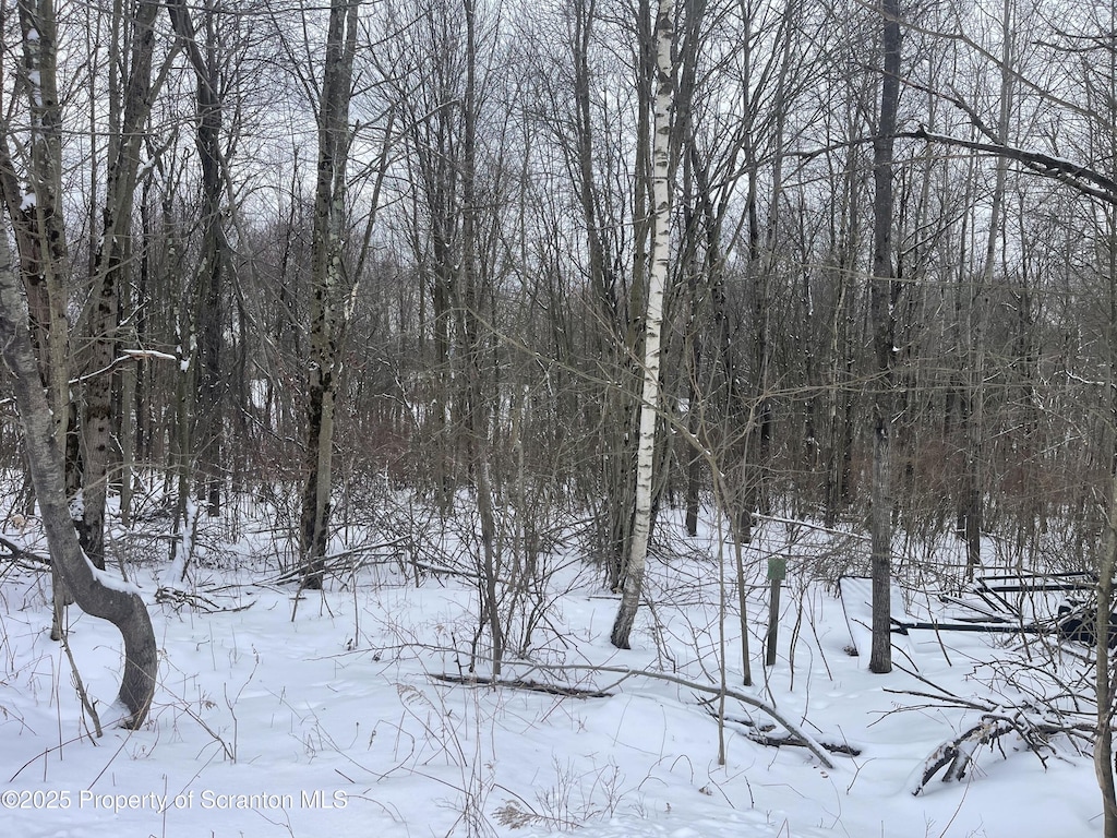 Grouse Hill L Rd, Greenfield Twp, PA 18407