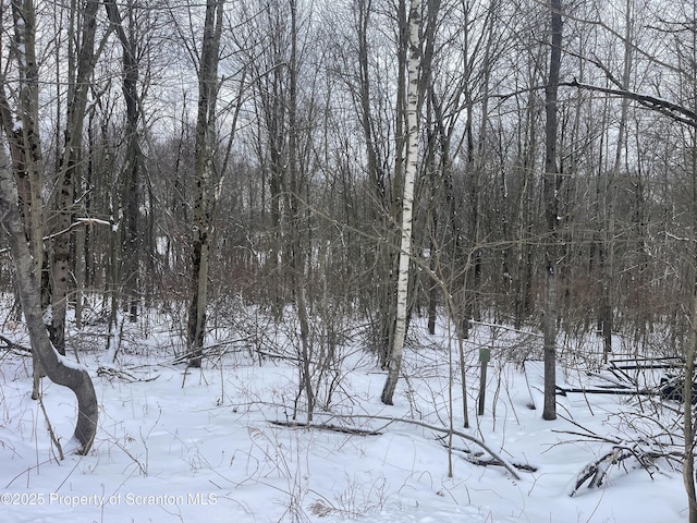 Grouse Hill L Rd, Greenfield Twp, PA 18407