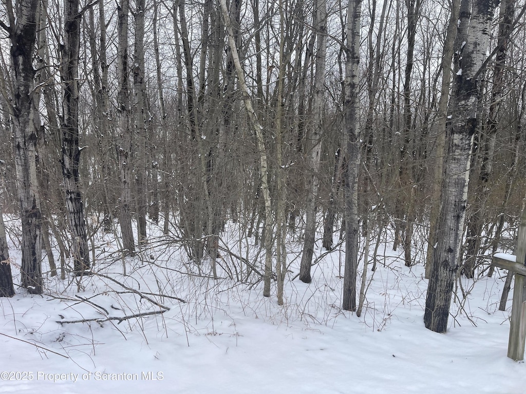 Grouse Hill L Rd, Greenfield Twp, PA 18407