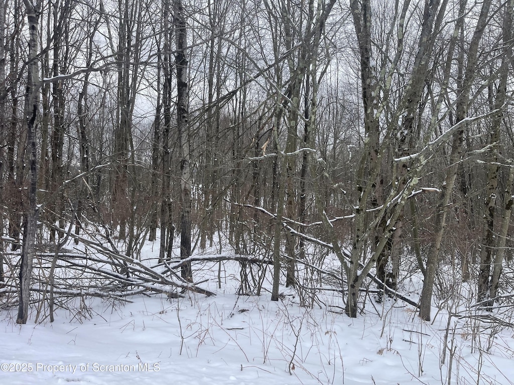 Grouse Hill L Rd, Greenfield Twp, PA 18407