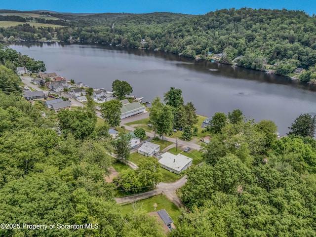 13 Hillside St Unit L 25, Nicholson, PA 18446 - photo 4