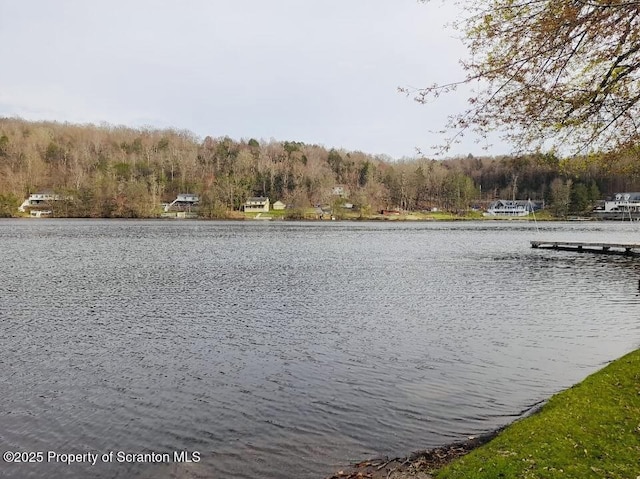 13 Hillside St Unit L 25, Nicholson, PA 18446 - photo 41