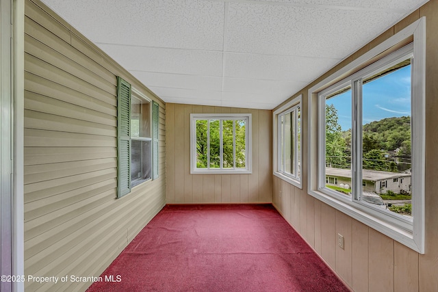 13 Hillside St Unit L 25, Nicholson, PA 18446 - unfurnished sunroom featuring carpet floors and wooden walls
