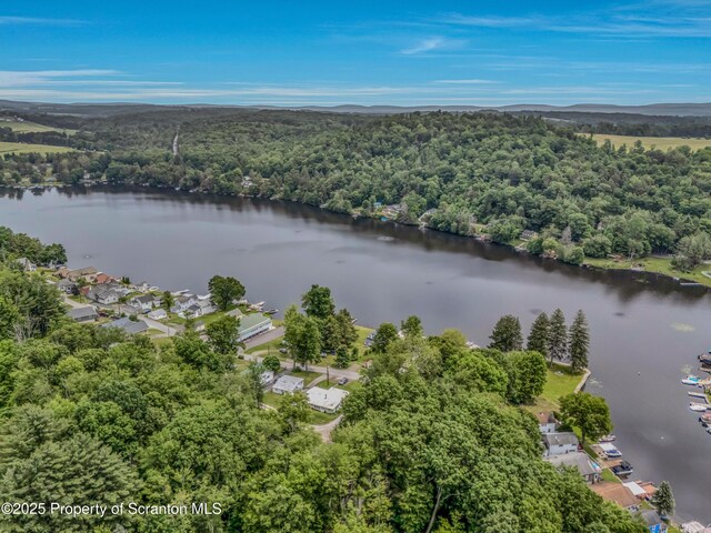 13 Hillside St Unit L 25, Nicholson, PA 18446 - photo 7