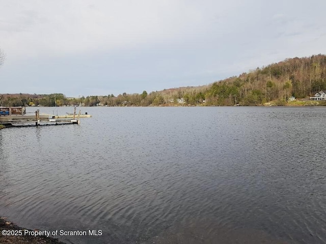 13 Hillside St Unit L 25, Nicholson, PA 18446 - photo 42