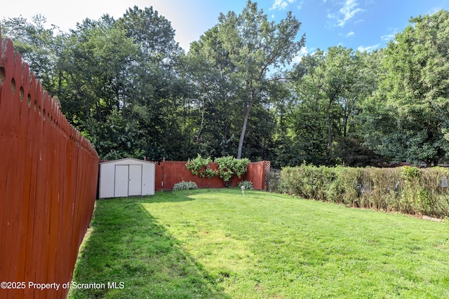 15 Leonard St, Wilkes-Barre, PA 18702 - fenced backyard featuring a storage unit