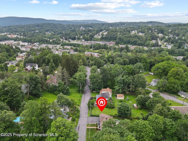415 Clark Ave, Clarks Summit, PA 18411 - photo 47