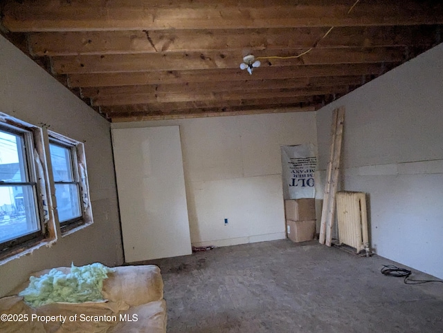 basement with radiator