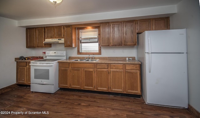 kitchen featuring dark hardwood / wood-style flooring, white appliances, and sink