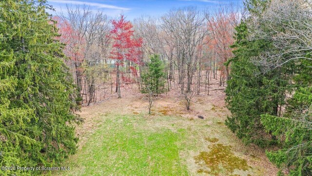 1729 E Elm St, Scranton, PA 18505 - photo 13