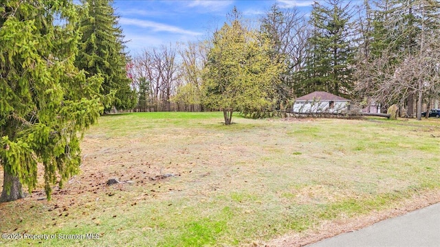 1729 E Elm St, Scranton, PA 18505 - photo 4