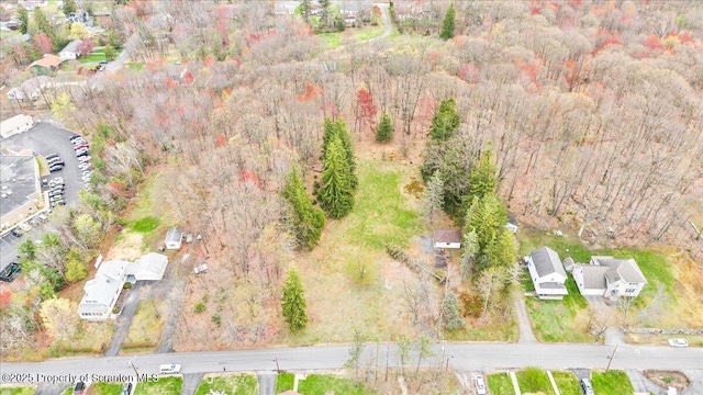 1729 E Elm St, Scranton, PA 18505 - photo 2