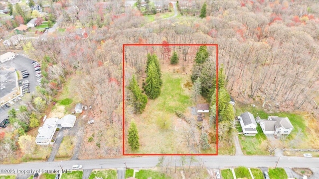 1729 E Elm St, Scranton, PA 18505 - photo 1