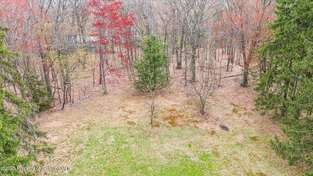 1729 E Elm St, Scranton, PA 18505 - photo 12