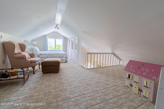 165 Lake Ave, Montrose, PA 18801 - photo 63