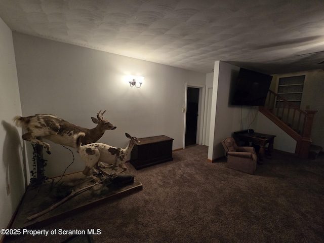 exercise room featuring carpet floors