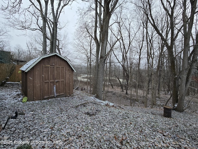 view of yard with a storage shed