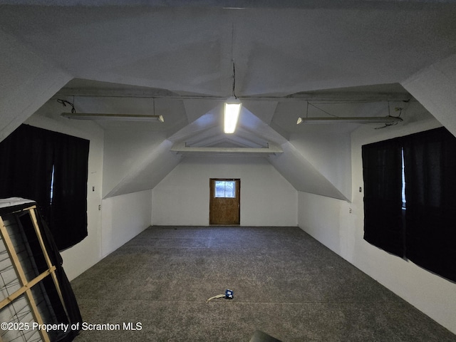 additional living space featuring carpet floors and lofted ceiling