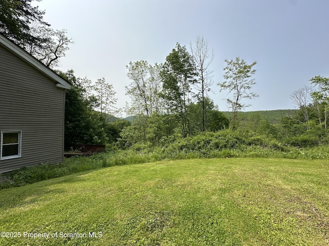 439 Old Union Rd, Equinunk, PA 18417 - view of grassy yard