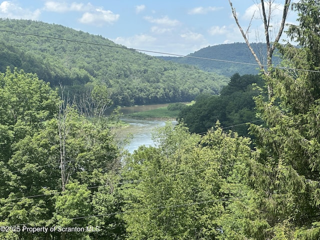 439 Old Union Rd, Equinunk, PA 18417 - mountain view featuring a heavily wooded area and a nearby body of water