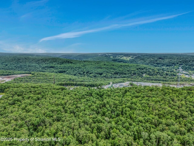 28 Holland Rd, Hawley, PA 18428 - aerial view of a forest