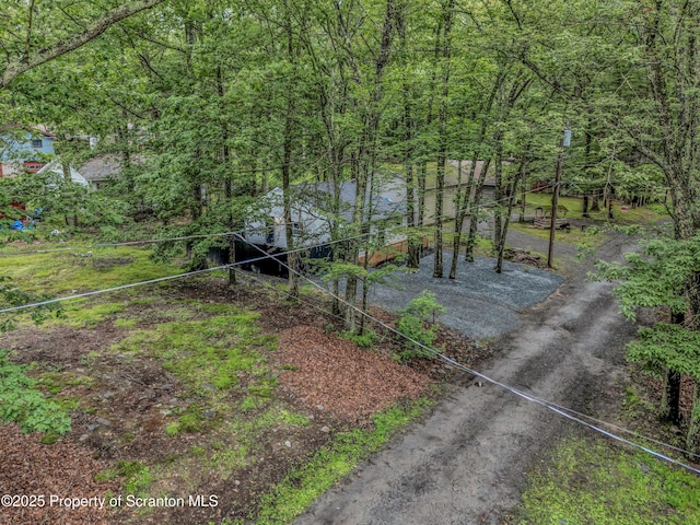 28 Holland Rd, Hawley, PA 18428 - view of yard