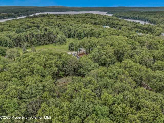 28 Holland Rd, Hawley, PA 18428 - aerial view of property's location featuring a large body of water