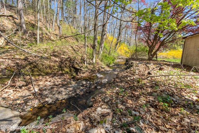 675 Apple Tree Rd, Harding, PA 18643 - view of local wilderness