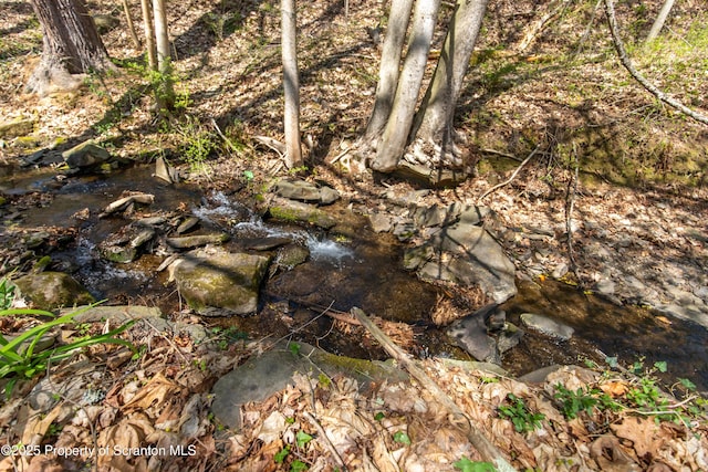 675 Apple Tree Rd, Harding, PA 18643 - view of local wilderness