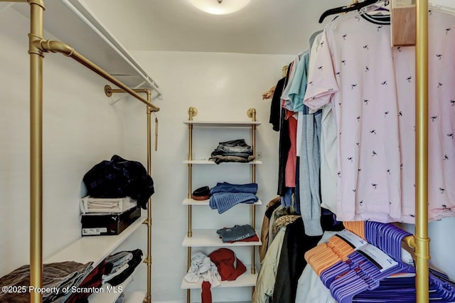 view of spacious closet