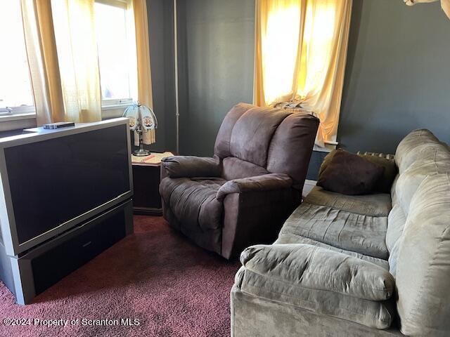 living room with dark carpet