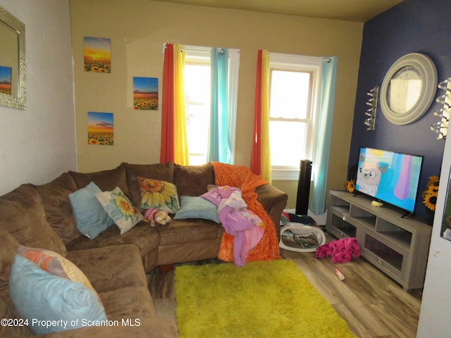 living room with hardwood / wood-style floors