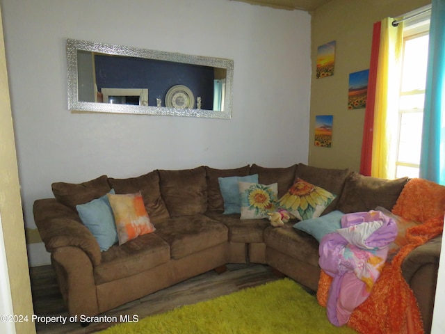 living room featuring plenty of natural light