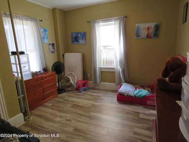 bedroom with multiple windows and light hardwood / wood-style floors