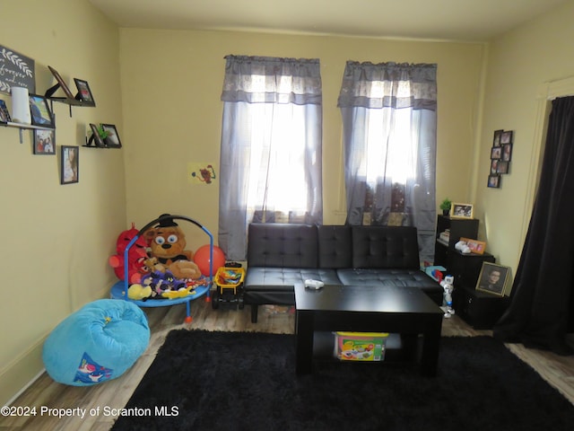 playroom with hardwood / wood-style flooring