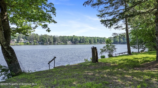 118 Karmazin Rd, Susquehanna, PA 18847 - photo 32