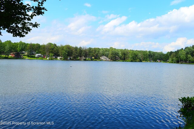 118 Karmazin Rd, Susquehanna, PA 18847 - photo 39
