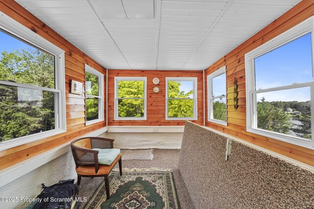 118 Karmazin Rd, Susquehanna, PA 18847 - photo 29