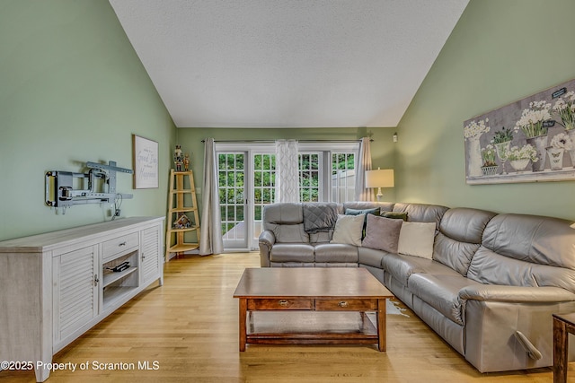 33 Hedge Row Run, Clarks Summit, PA 18411 - living area featuring light wood-style floors, a textured ceiling, and high vaulted ceiling