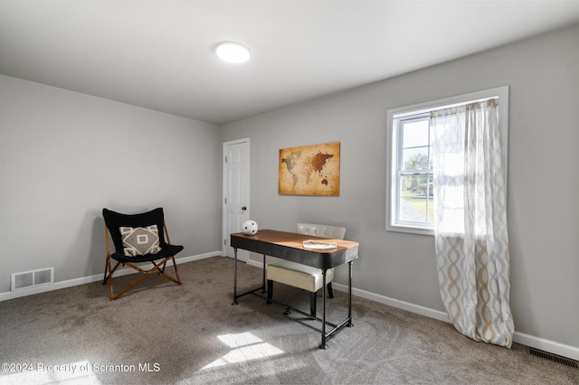 view of carpeted home office