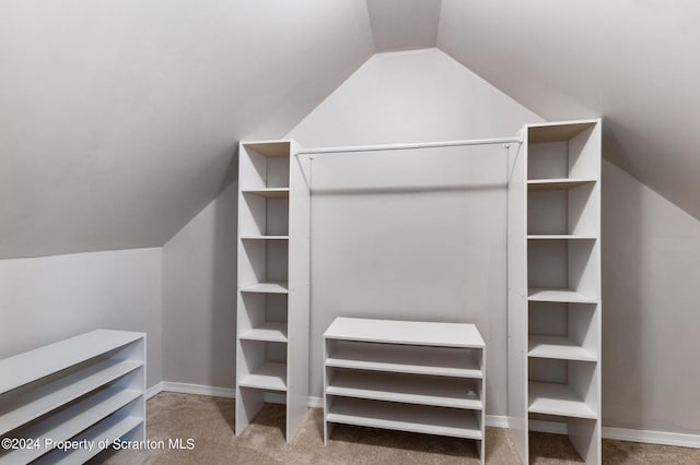 walk in closet with lofted ceiling and carpet floors