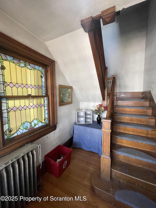 436 Wheeler Ave, Scranton, PA 18510 - photo 3