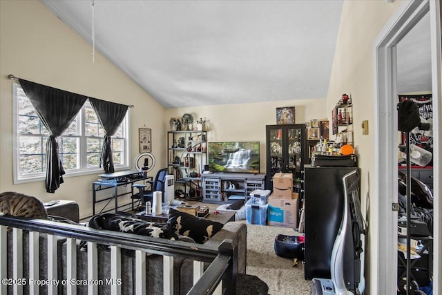 carpeted bedroom featuring lofted ceiling