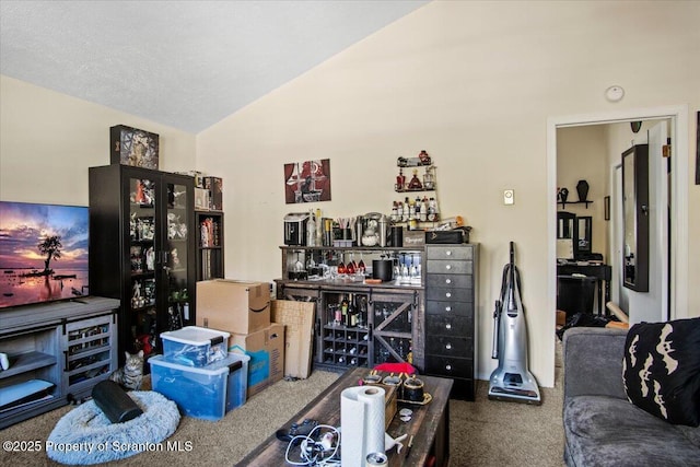 living room with lofted ceiling, carpet floors, and a textured ceiling