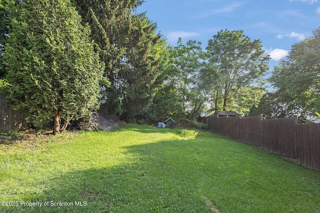 818 Cherry St, Scranton, PA 18505 - view of yard
