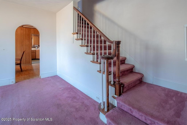 stairs with carpet floors