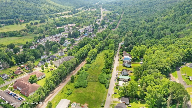 Railroad Ave, Hallstead, PA 18822 - photo 6