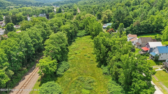 Railroad Ave, Hallstead, PA 18822 - photo 4