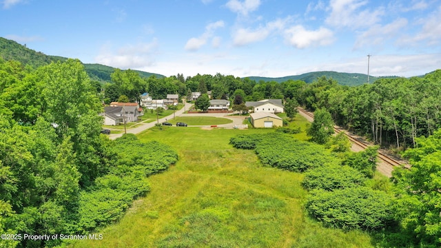Railroad Ave, Hallstead, PA 18822 - photo 2