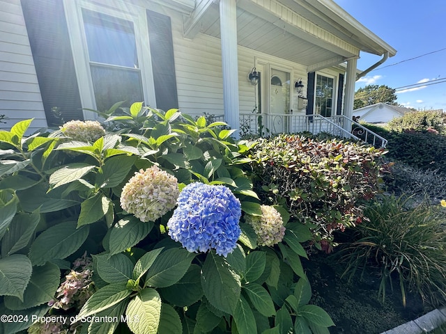 1402 Cherry St, Scranton, PA 18505 - property entrance with covered porch